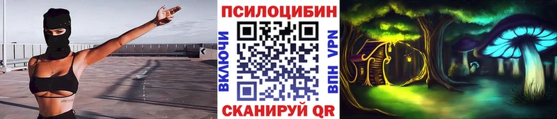 Псилоцибиновые грибы Psilocybine cubensis  Фатеж 